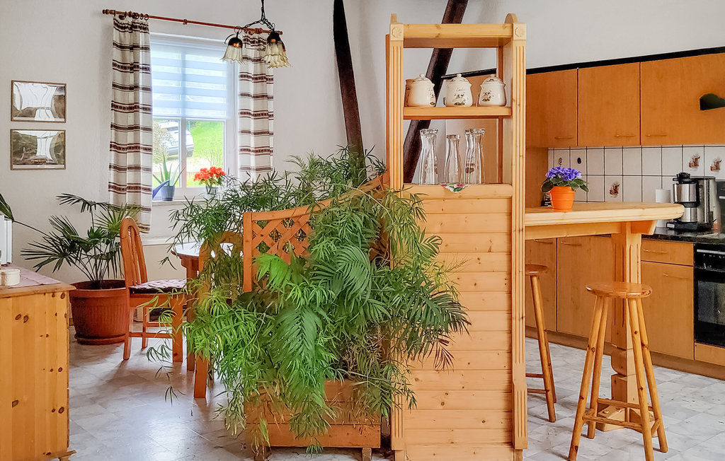 Ferienwohnung - Kleingiessübel , Deutschland - DSS101 4