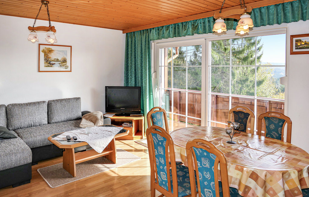 Ferienhaus - Schnett-Masserberg , Deutschland - DTH101 2