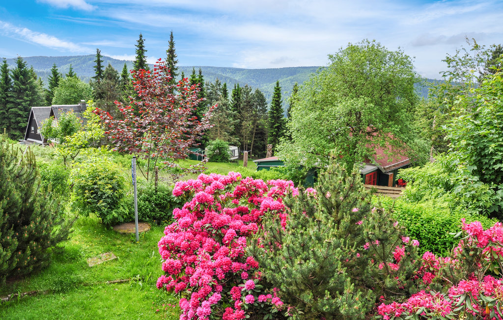 Semesterhus - Goldlauter-Heidersbach , Tyskland - DTH932 14