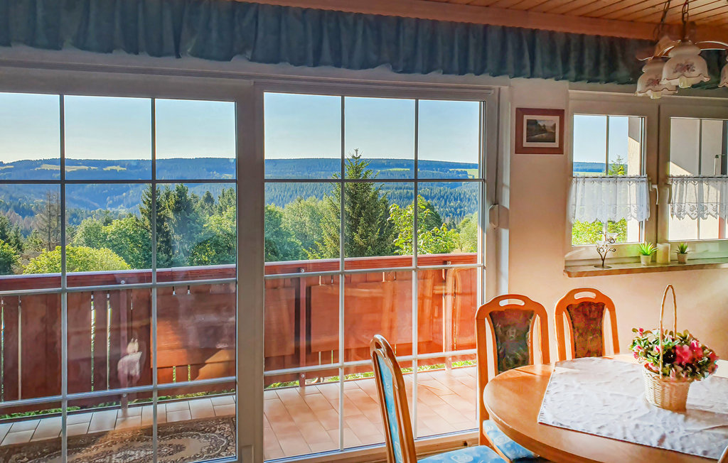 Ferienhaus - Schnett-Masserberg , Deutschland - DTH101 4