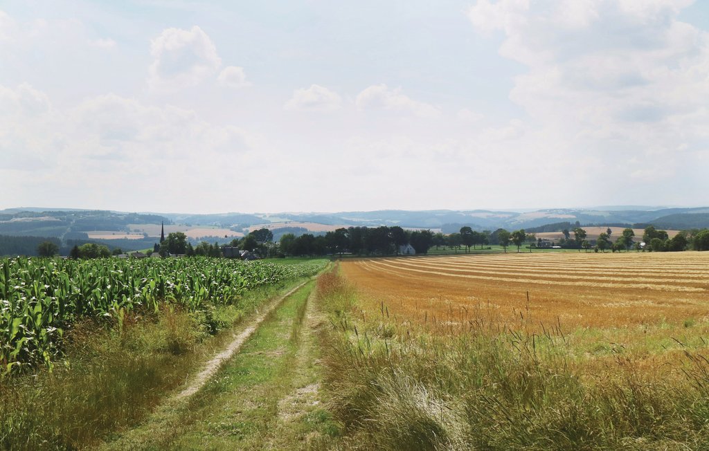 Ferienhaus - Gahma , Deutschland - DTH117 20