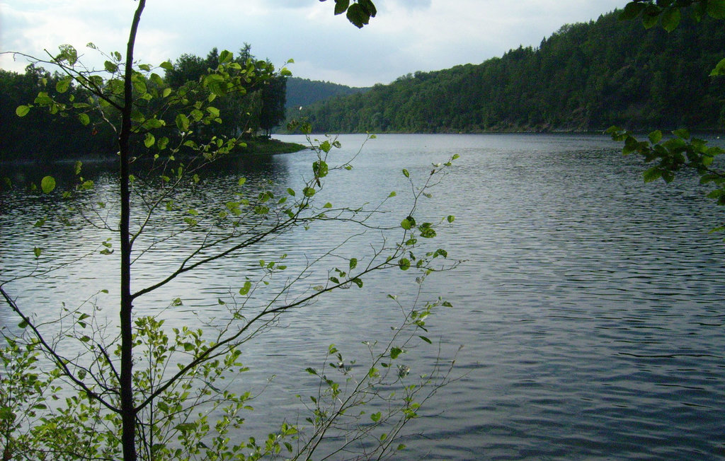 Semesterhus - Bad Lobenstein/Saaldorf , Tyskland - DTH143 14