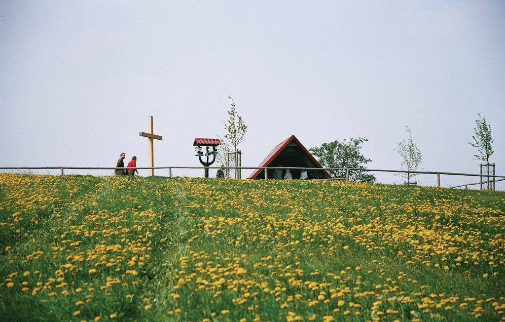 Ferienwohnung - Waltershausen/Fischbach , Deutschland - DTH168 18
