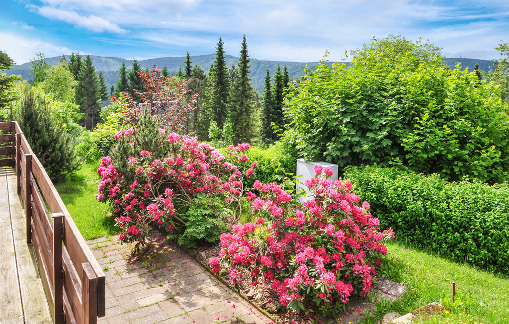 Semesterhus - Goldlauter-Heidersbach , Tyskland - DTH932 2