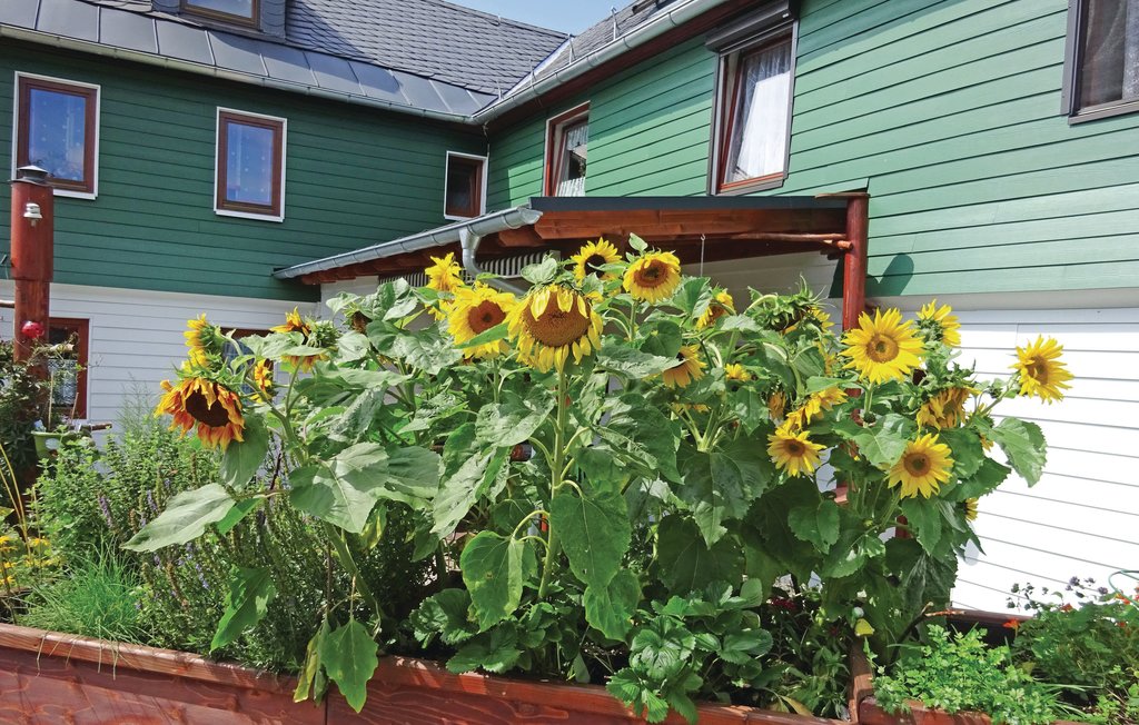 Ferienwohnung - Altengesees , Deutschland - DTH169 10