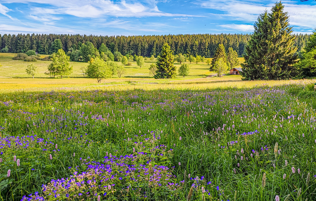 Semesterlägenhet - Neuhaus a. Rwg. OT Siegmundsbg , Tyskland - DTH281 20