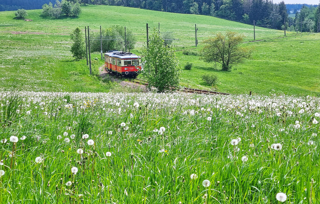Semesterlägenhet - Oberweißbach , Tyskland - DTH347 10
