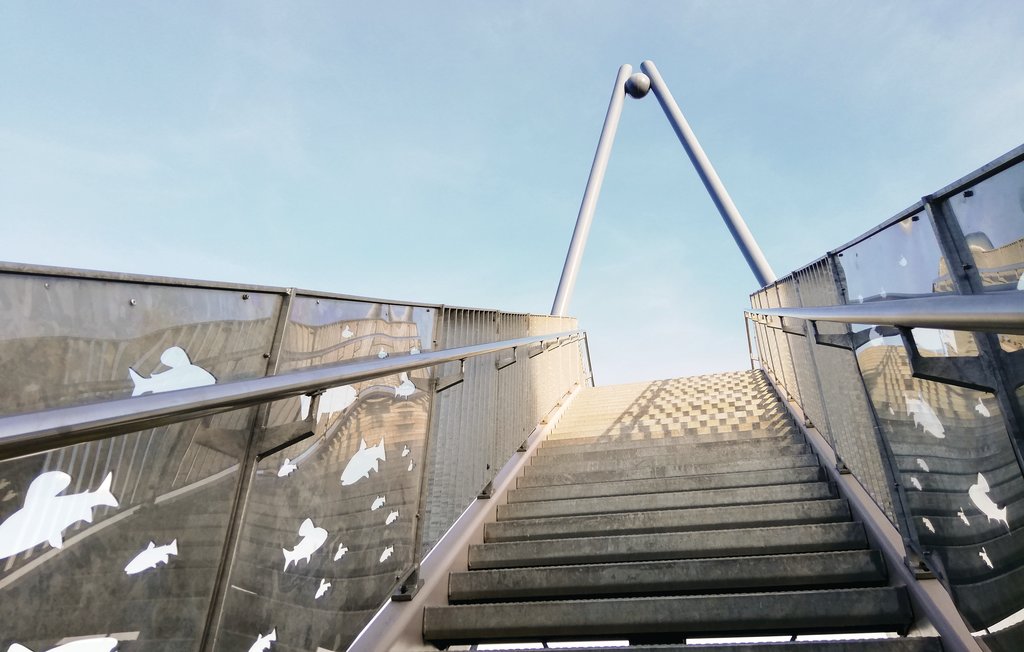 Lejlighed - Schieder-Schwalenberg , Tyskland - DWE152 30