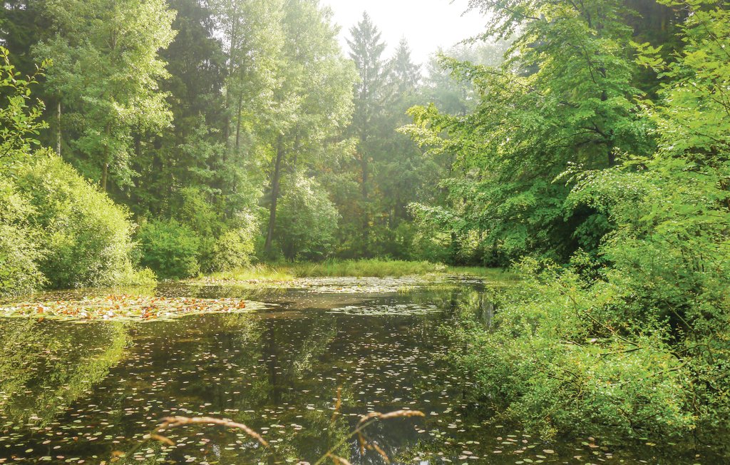 Lejlighed - Schieder-Schwalenberg , Tyskland - DWE152 23