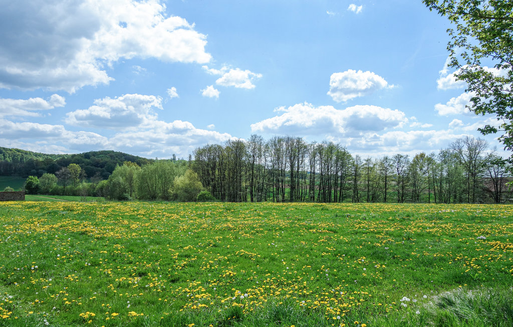 Semesterlägenhet - Marienmünster , Tyskland - DWE177 20
