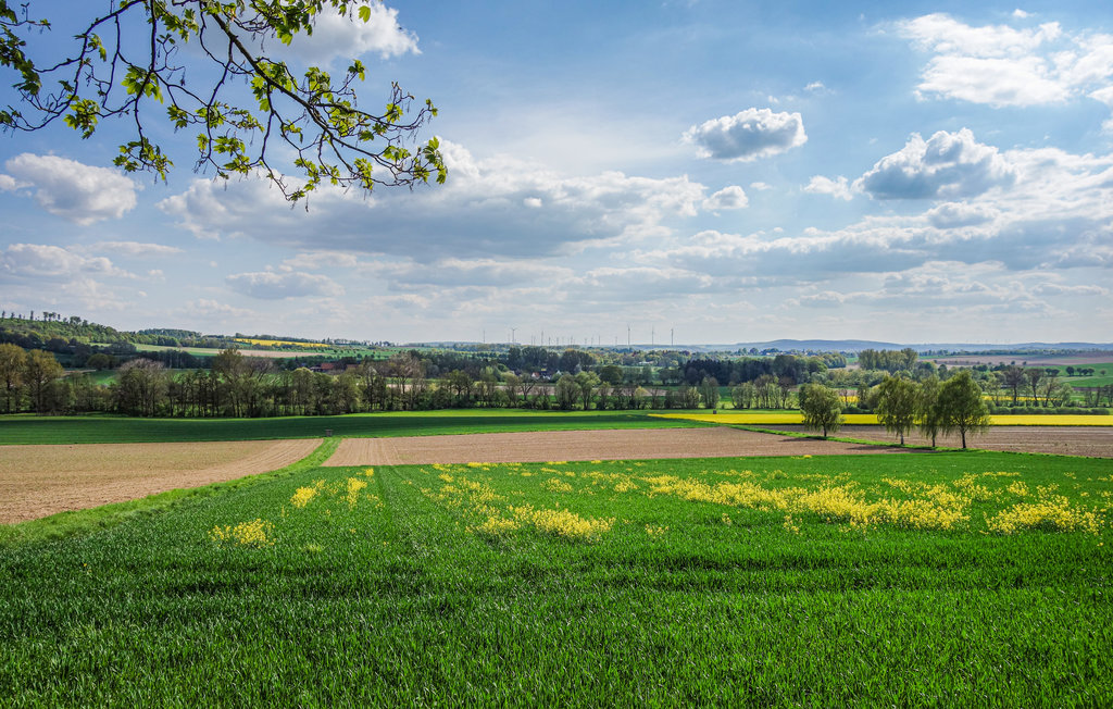 Semesterlägenhet - Marienmünster , Tyskland - DWE177 19