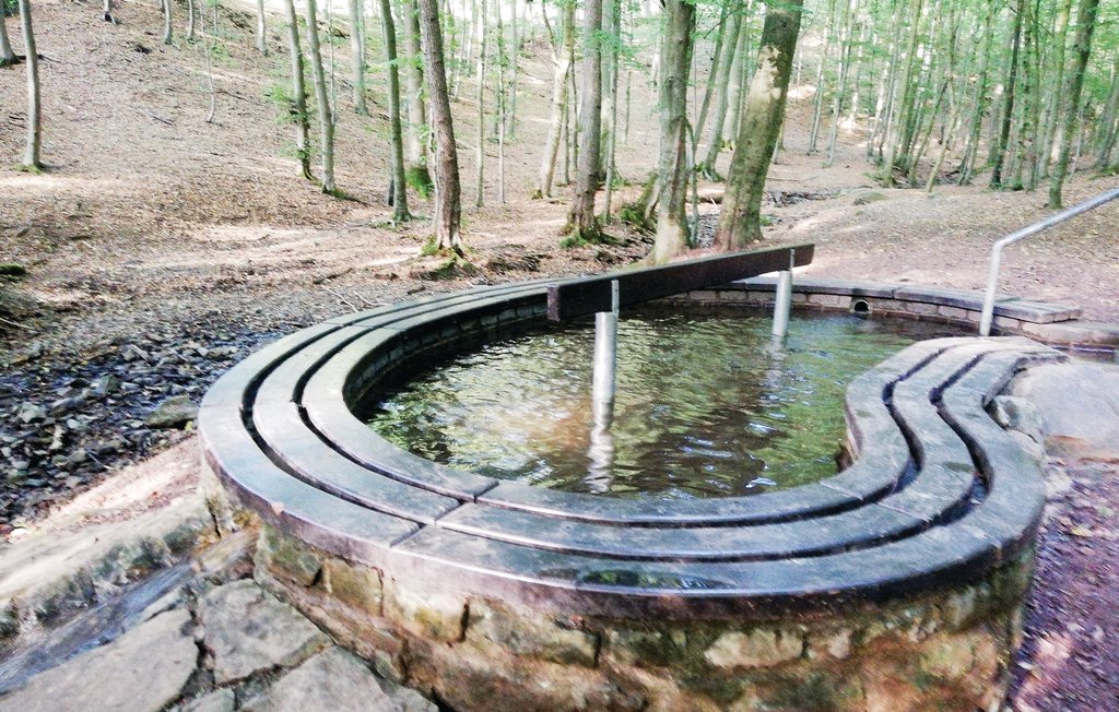 Lejlighed - Schieder-Schwalenberg , Tyskland - DWE152 31