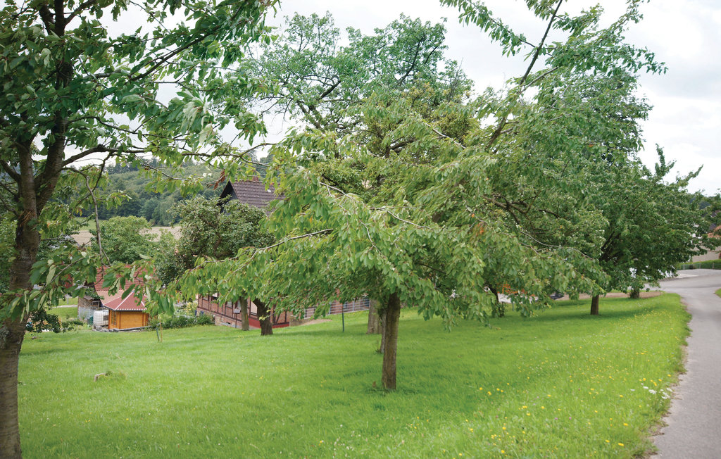 Ferieleilighet - Lügde-Falkenhagen , Tyskland - DWE124 14