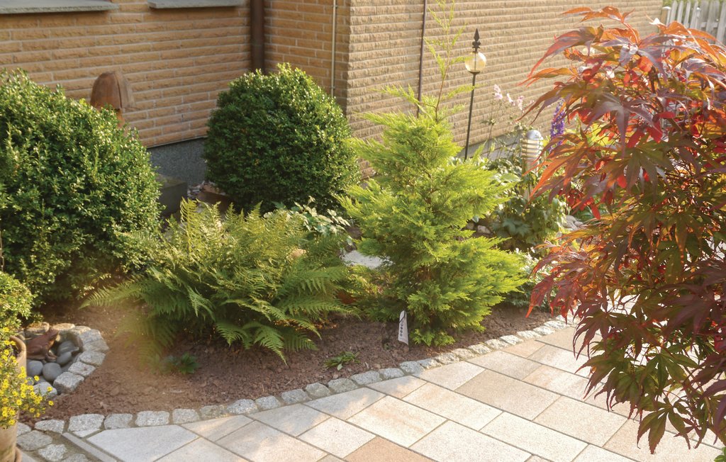 Lejlighed - Schieder-Schwalenberg , Tyskland - DWE152 9