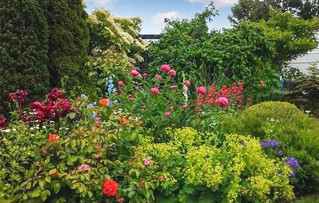 Kuća-za-odmor - Dranske auf Rügen , Njemačka - DZV001 9