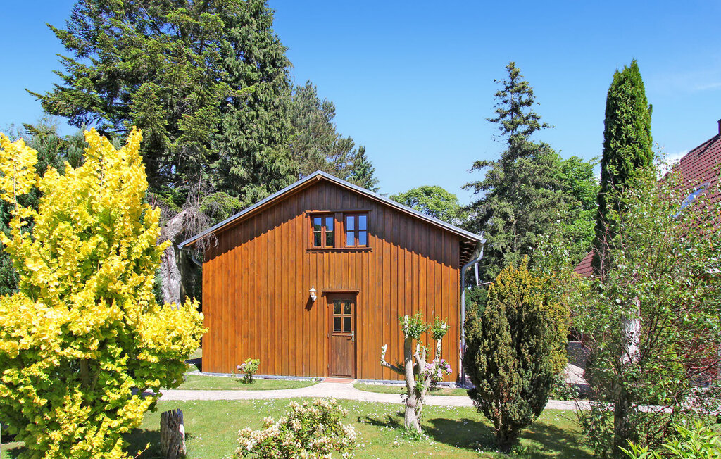 Ferienwohnung - Bodstedt , Deutschland - DZV557 11