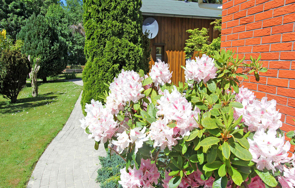 Ferienwohnung - Bodstedt , Deutschland - DZV557 9