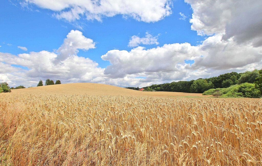 Semesterhus - Oberuckersee OT Melzow , Tyskland - DZV624 19
