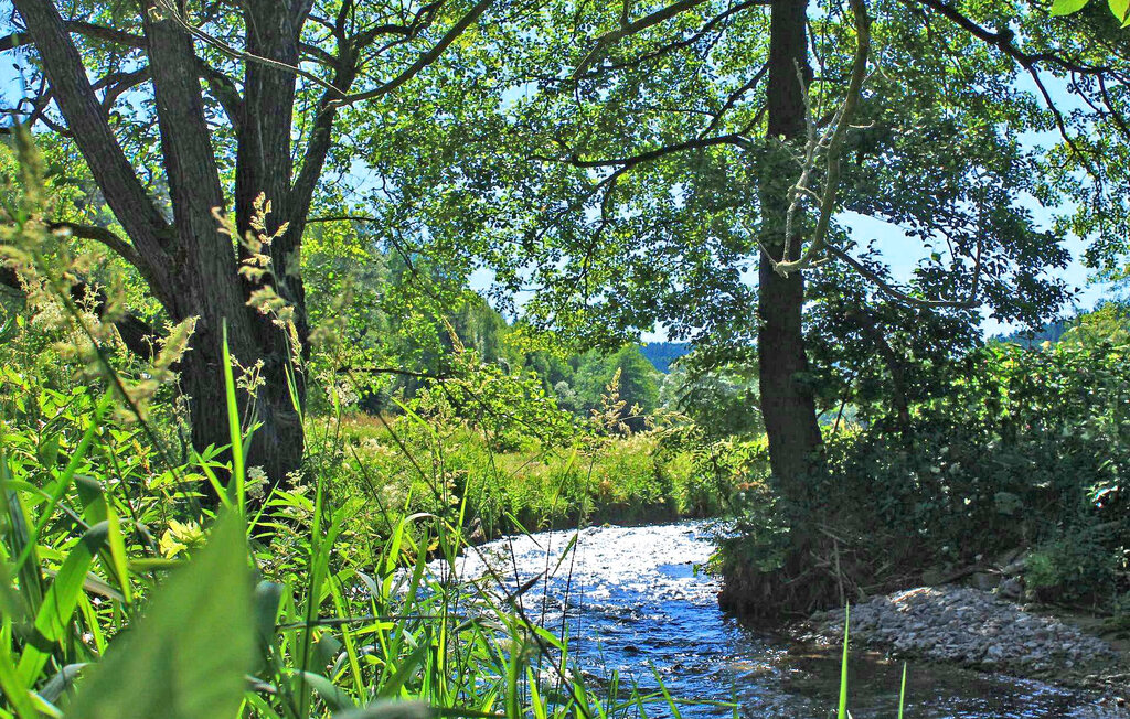 Lejlighed - Neuhausen , Tyskland - DZV512 13