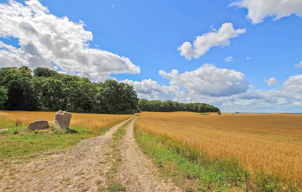 Ferienwohnung - Oberuckersee OT Melzow , Deutschland - DZV750 19