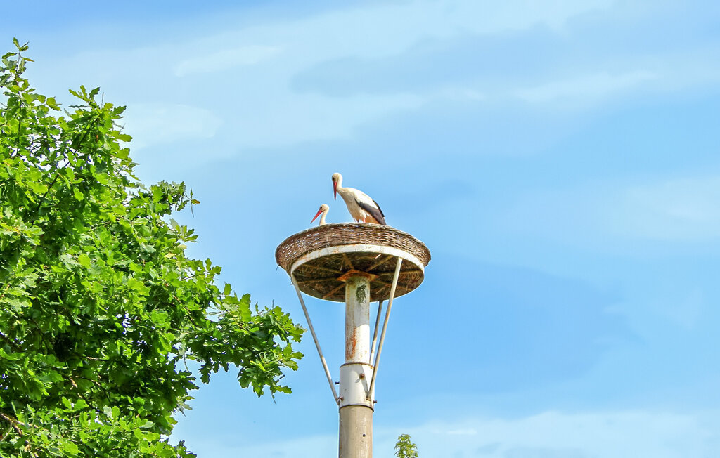 Ferieleilighet - Ankershagen OT Friedrichsfelde , Tyskland - DZV841 14