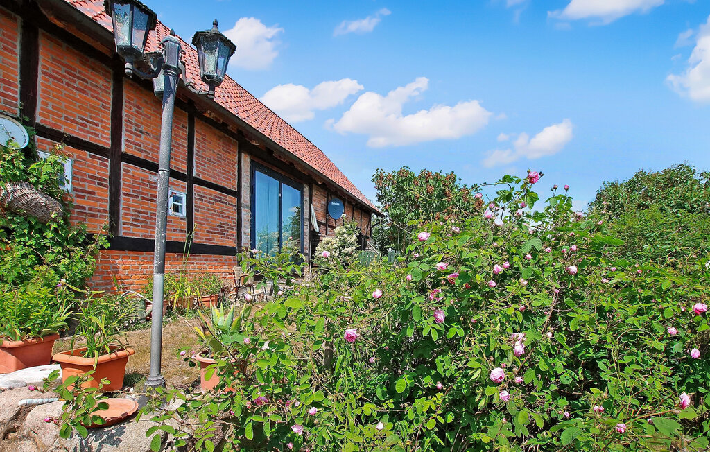 Ferienhaeuser - Jabel , Deutschland - DZV075 8