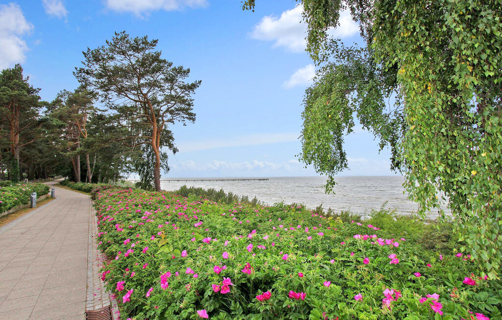 Domy wakacyjne - Lubmin (Seebad) , Niemcy - DZV105 12