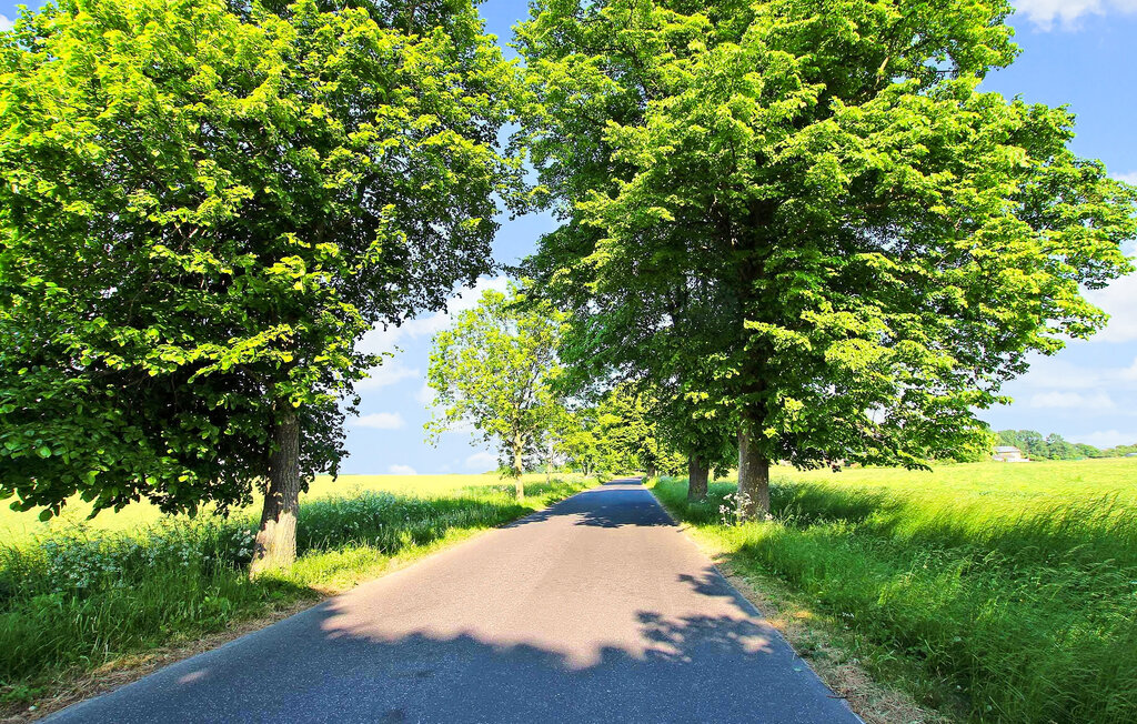 Ferienwohnung - Altenkirchen auf Rügen , Deutschland - DZV119 11