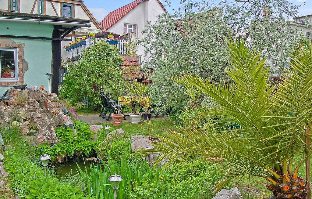 
Holiday rental - Waren (Müritz) , Germany - DZV151 12