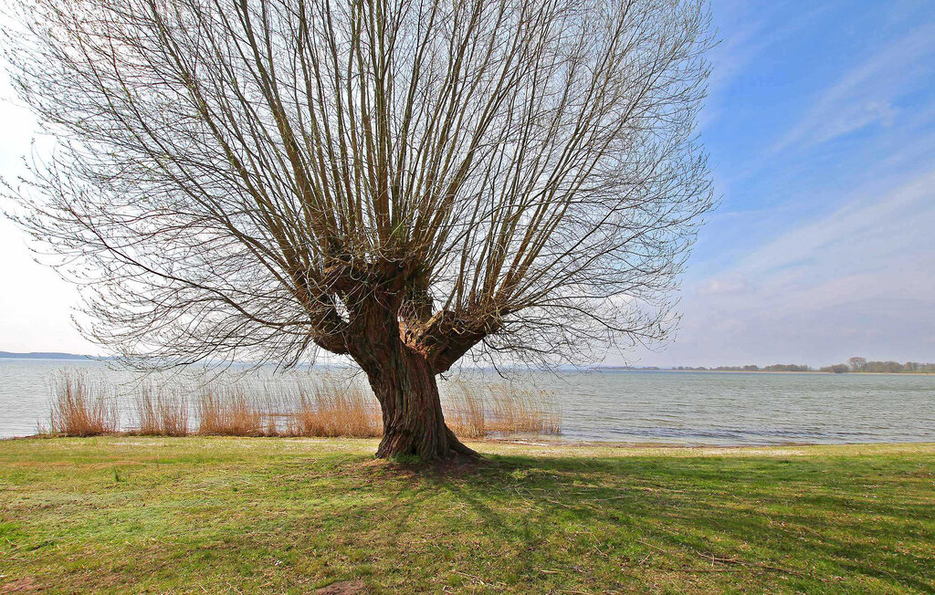 Location de vacances - Verchen , Allemagne - DZV167 15