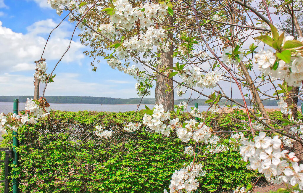 Ferienwohnung - Userin , Deutschland - DZV197 9