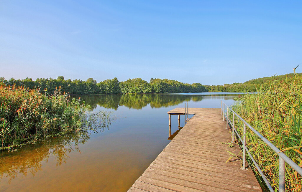 Ferieleilighet - Wokuhl-Dabelow , Tyskland - DZV217 13