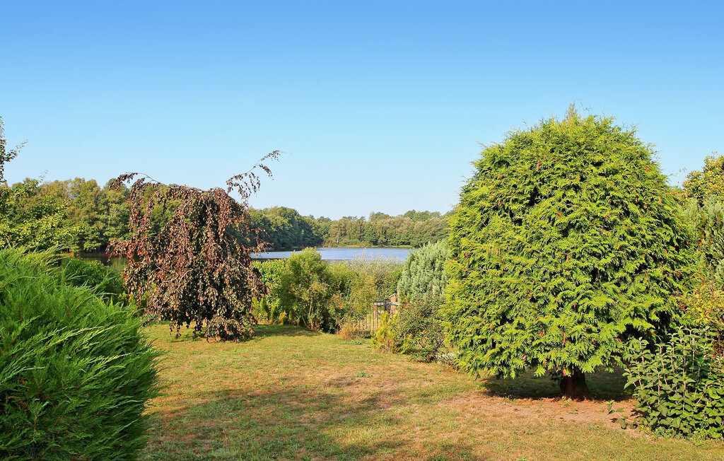 Ferieleilighet - Wokuhl-Dabelow , Tyskland - DZV217 11