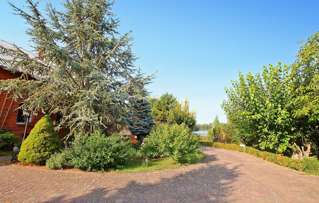 Ferieleilighet - Wokuhl-Dabelow , Tyskland - DZV217 12
