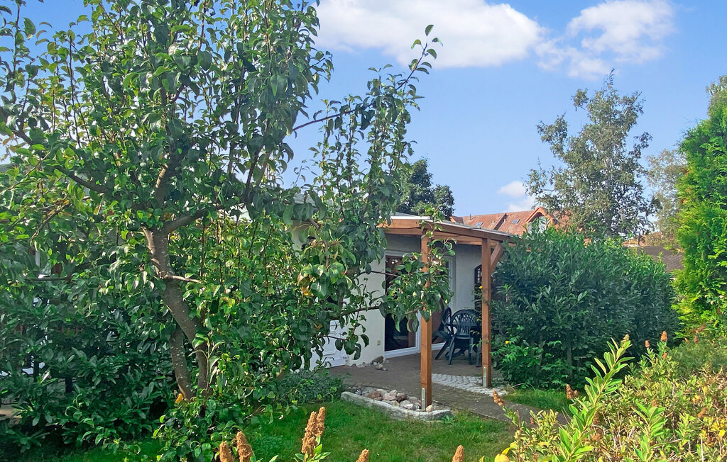 Ferieleilighet - Kölpinsee/Usedom , Tyskland - DZV243 12