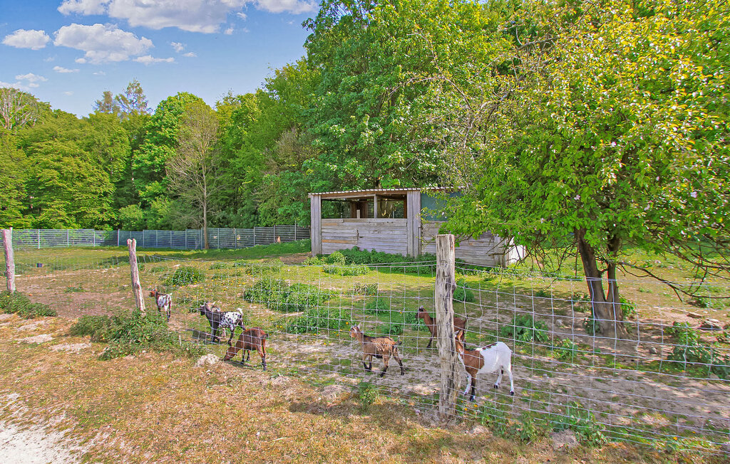 Semesterlägenhet - Kuchelmiß , Tyskland - DZV244 21