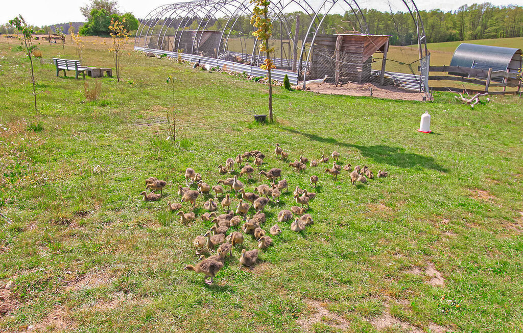Semesterlägenhet - Kuchelmiß , Tyskland - DZV244 22