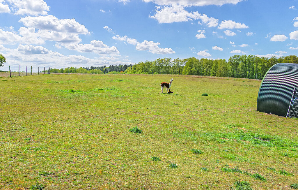 Semesterlägenhet - Kuchelmiß , Tyskland - DZV244 23