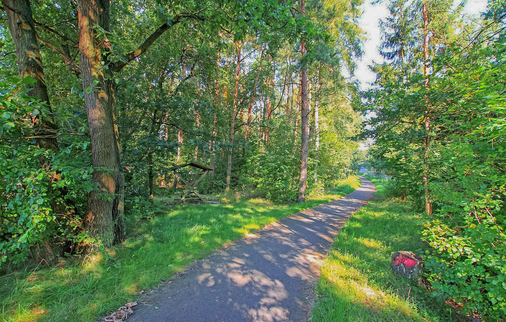 Ferienwohnung - Krümmel , Deutschland - DZV270 9