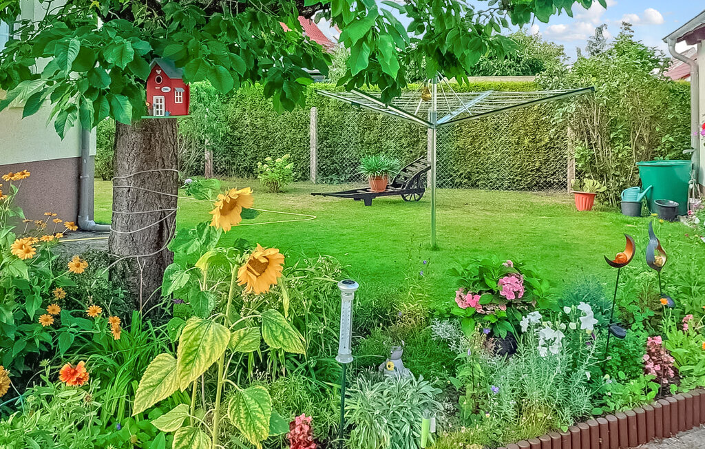 Ferienhaeuser - Ueckermünde OT Bellin , Deutschland - DZV297 8