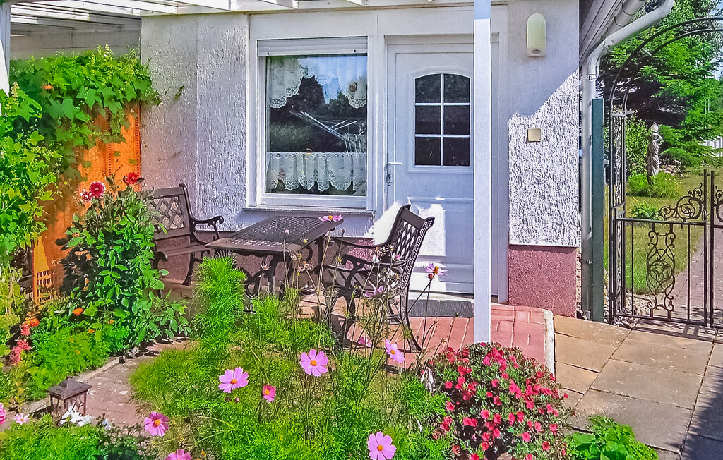 
Holiday rental - Lychen , Germany - DZV290 1