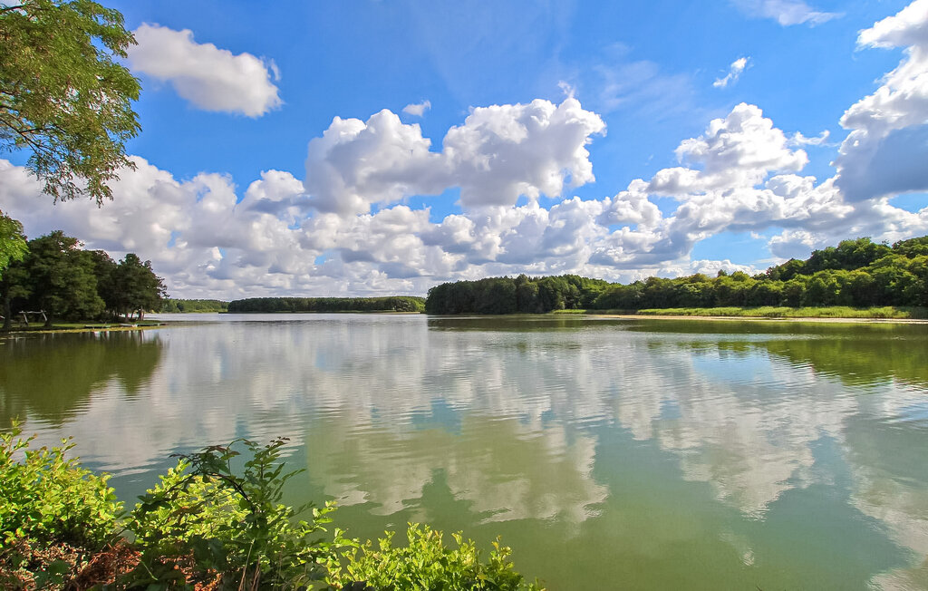 
Holiday rental - Lychen , Germany - DZV290 6