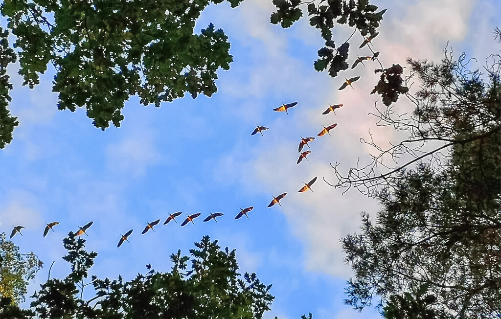 Ferienwohnung - Fuhlendorf , Deutschland - DZV305 31