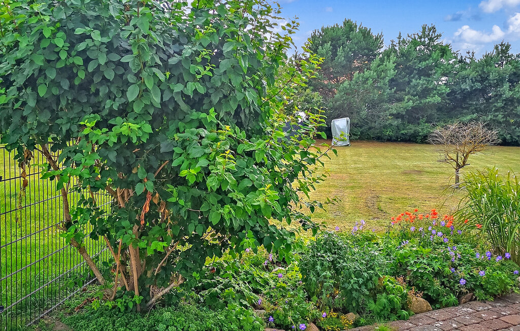 Ferienwohnung - Fuhlendorf , Deutschland - DZV305 14