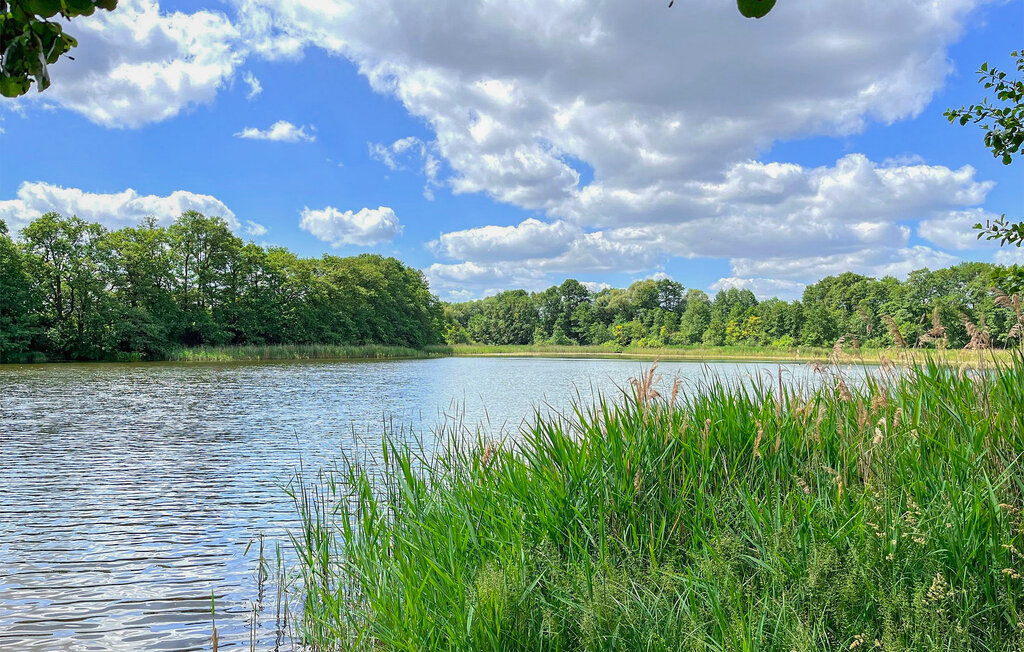Ferienwohnung - Hohen Wangelin , Deutschland - DZV310 29