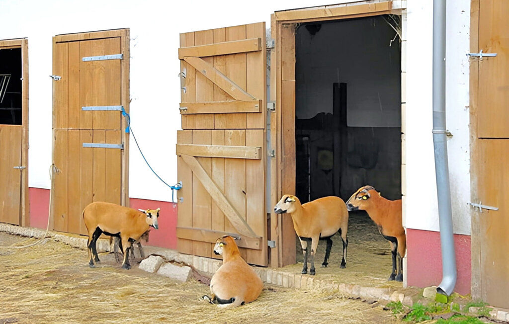 Ferienwohnung - Hohen Wangelin , Deutschland - DZV320 15