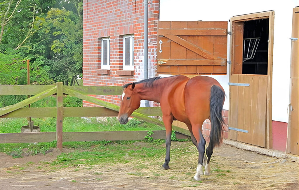 Ferienwohnung - Hohen Wangelin , Deutschland - DZV320 17