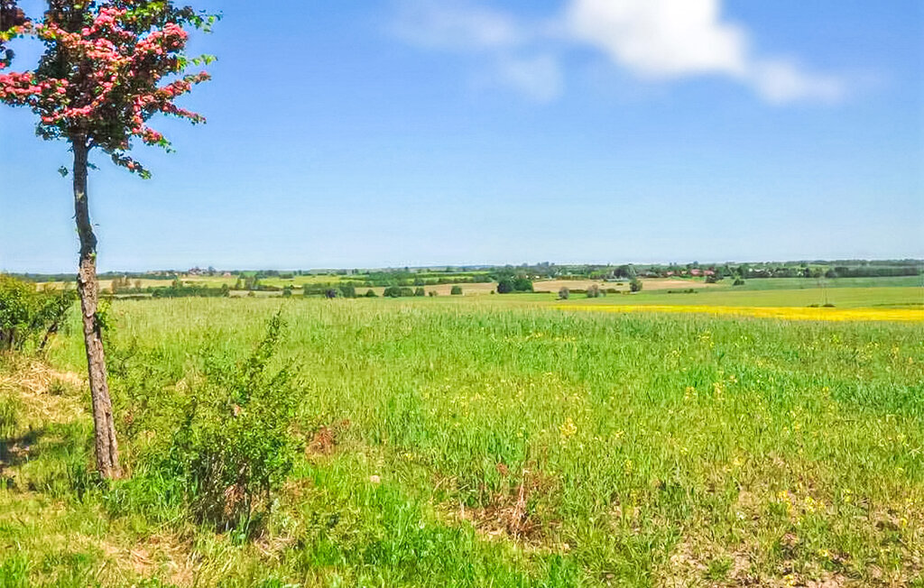 Ferienhaus - Grünow , Deutschland - DZV353 17