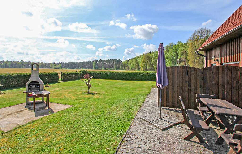 Semesterlägenhet - Mirow OT Qualzow , Tyskland - DZV385 7