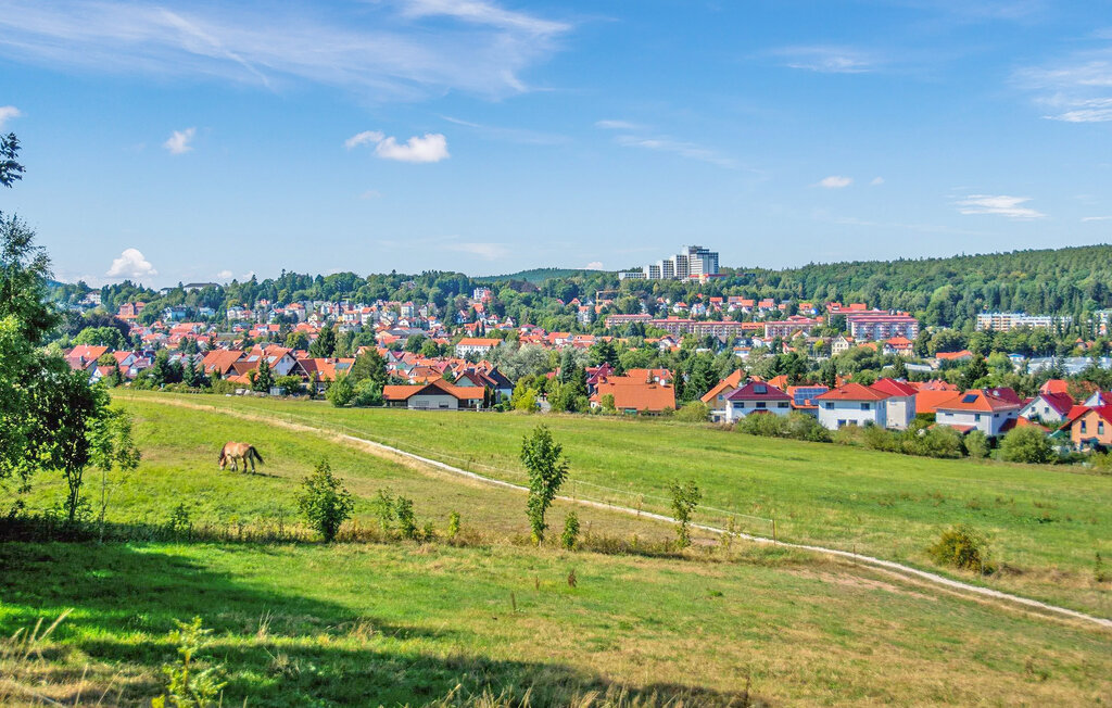 Apartment - Friedrichroda , Germany - DZV440 15